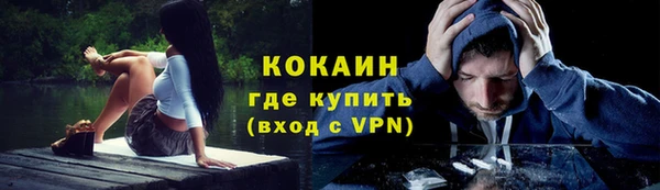 мяу мяу мука Елабуга