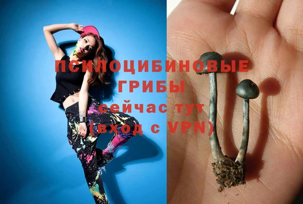 мяу мяу мука Елабуга