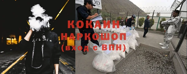 ПСИЛОЦИБИНОВЫЕ ГРИБЫ Заволжье
