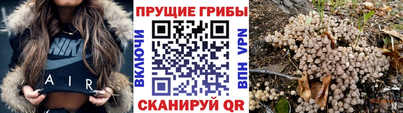 Псилоцибиновые грибы мухоморы  Ивантеевка 